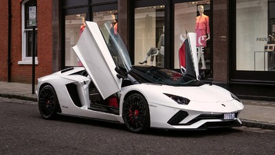 Front-Hinged Scissor Doors Front-Hinged Scissor Doors